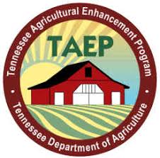 TAEP Logo