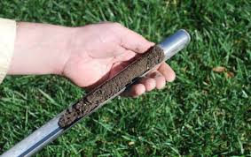 Collecting Soil Samples