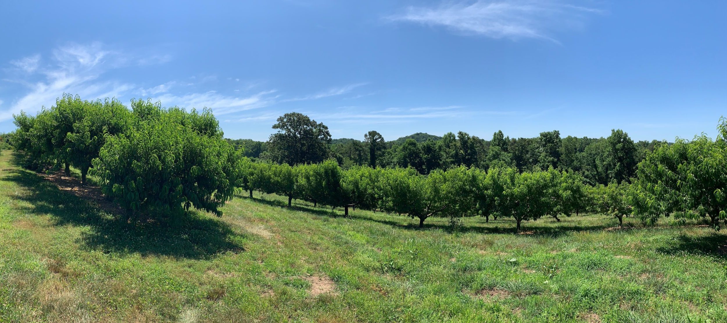 Anderson County Anderson County