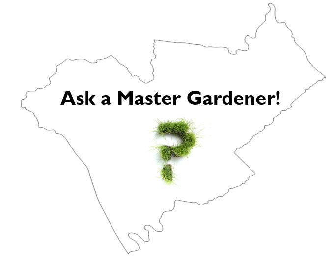 Master Gardener Program Anderson County