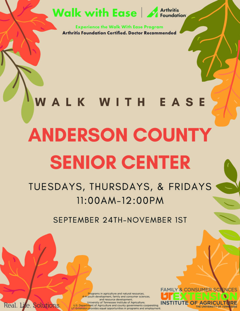 Walk with Ease flyer