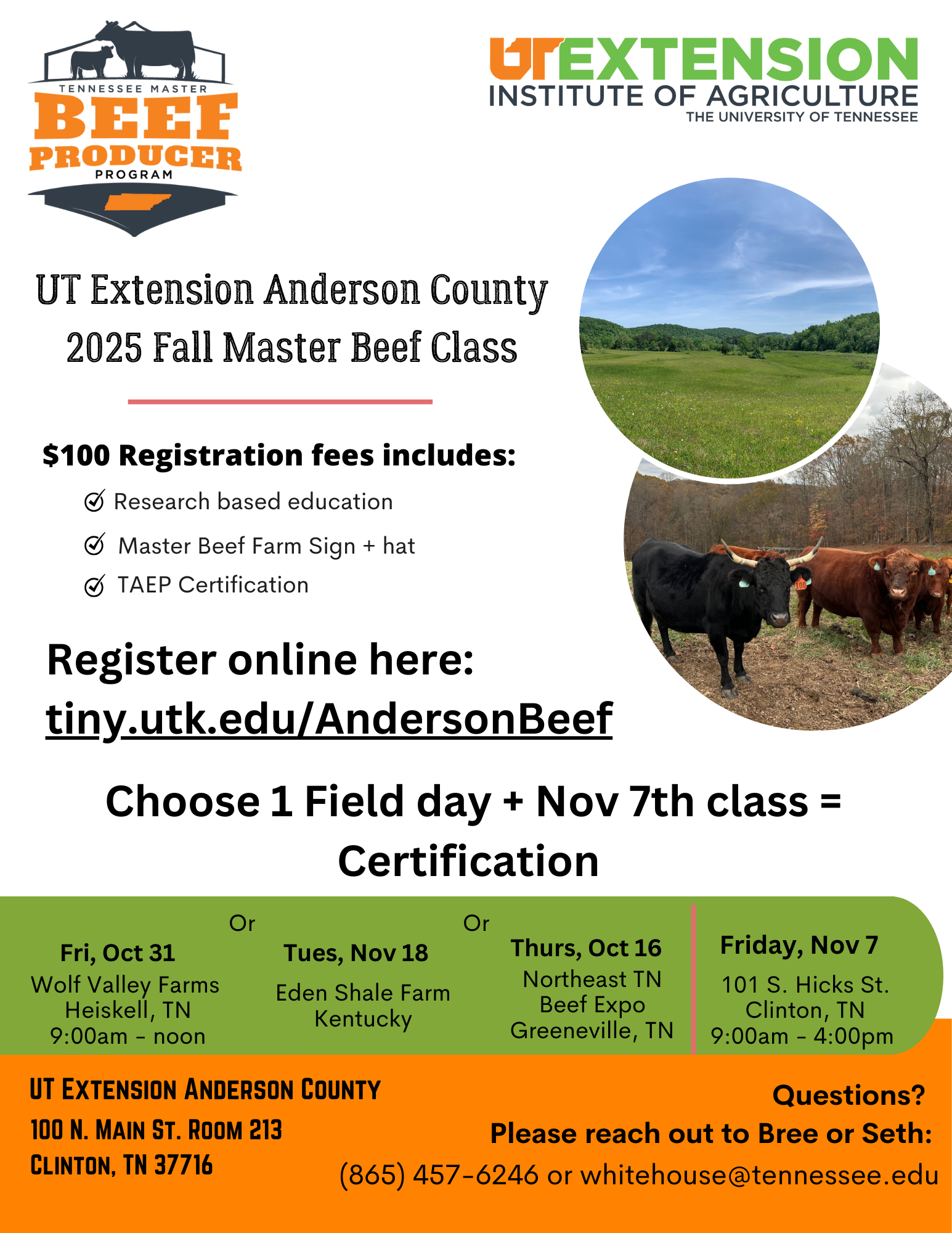 Beef Programs | Anderson County