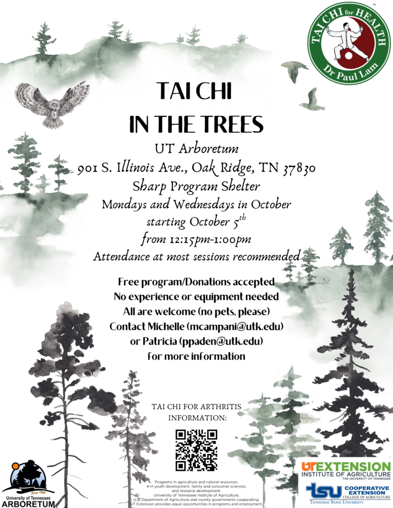 Tai Chi flyer